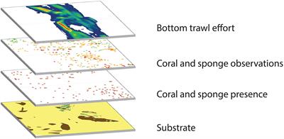 A Win-Win for Deep-Sea Corals and Fishing: Increasing Seafloor Protections While Restoring Fishing Opportunities Off the United States West Coast